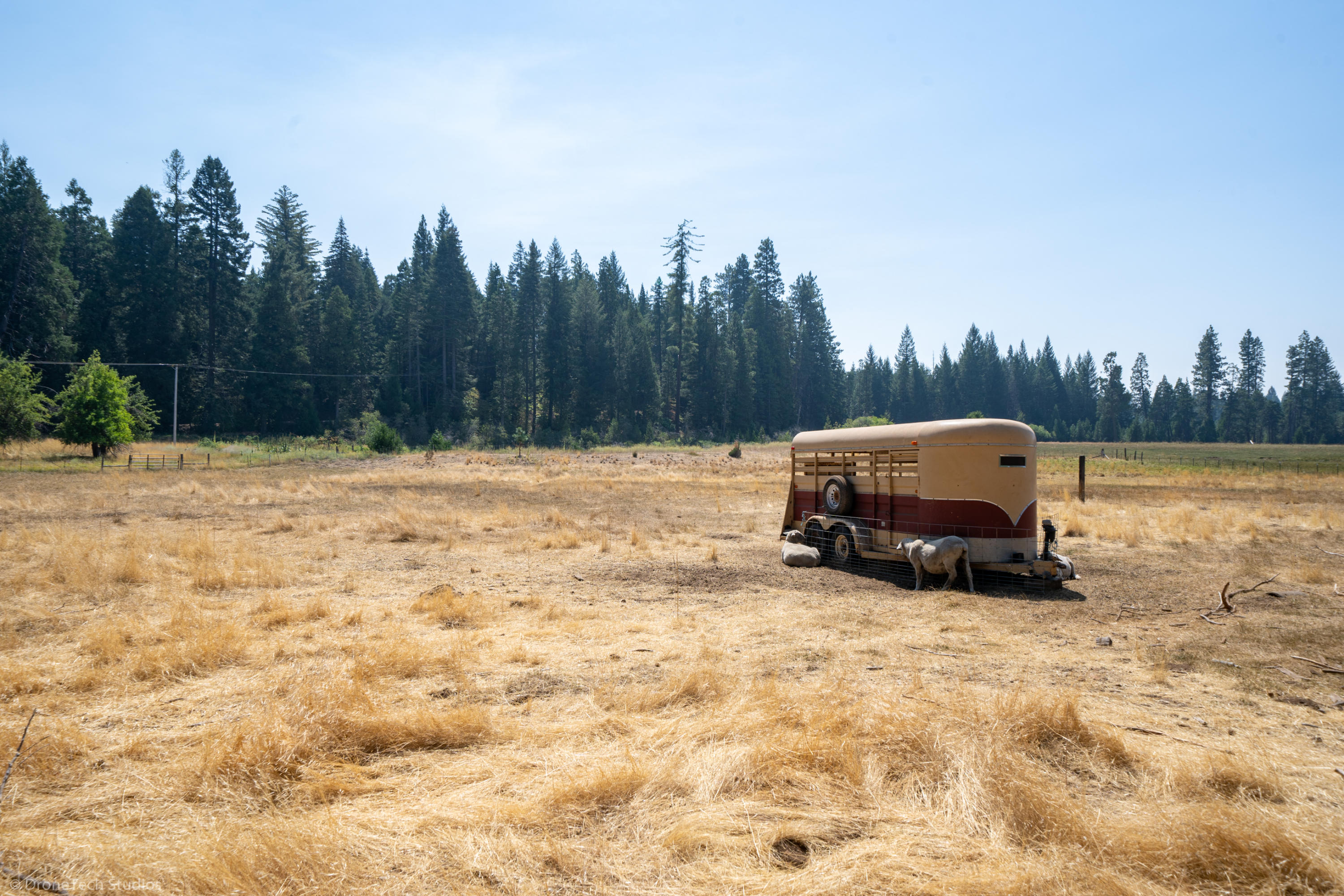 36563 Deer Flat Road Shingletown, CA 96088 - Photo 43 of 65 a car parked in the middle of a field