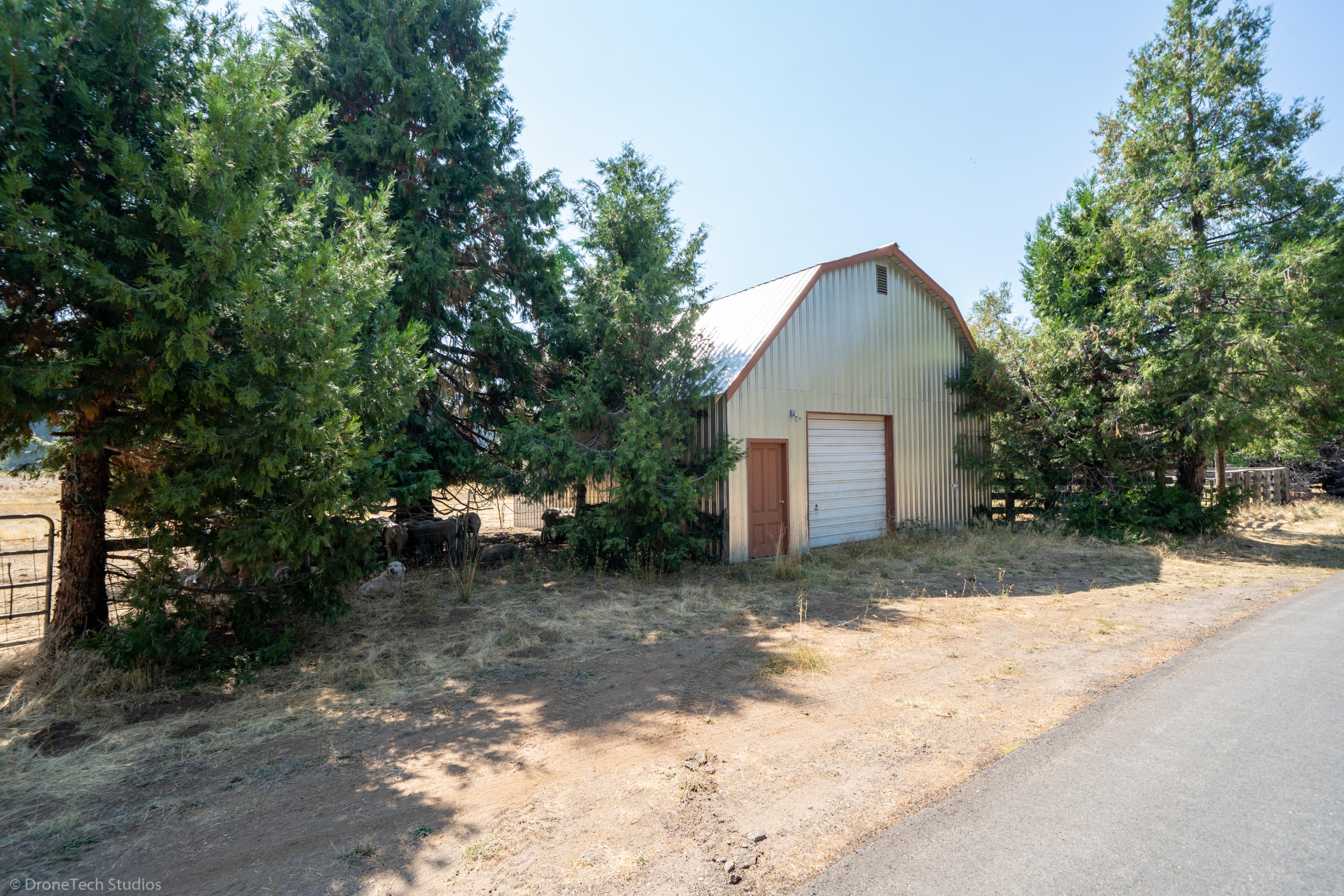 36563 Deer Flat Road Shingletown, CA 96088 - Photo 44 of 65 a front view of a house with a yard