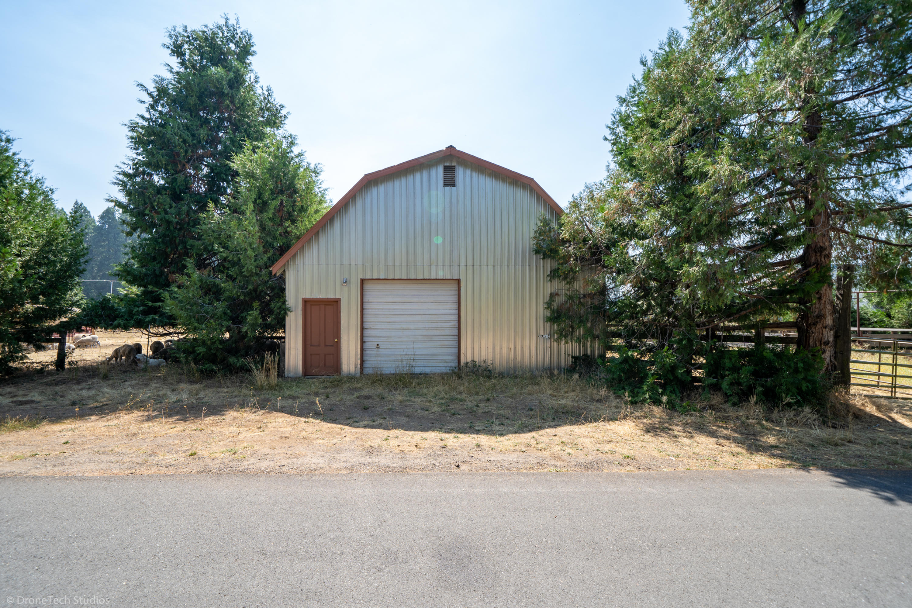36563 Deer Flat Road Shingletown, CA 96088 - Photo 45 of 65 a view of a house with a yard and garage