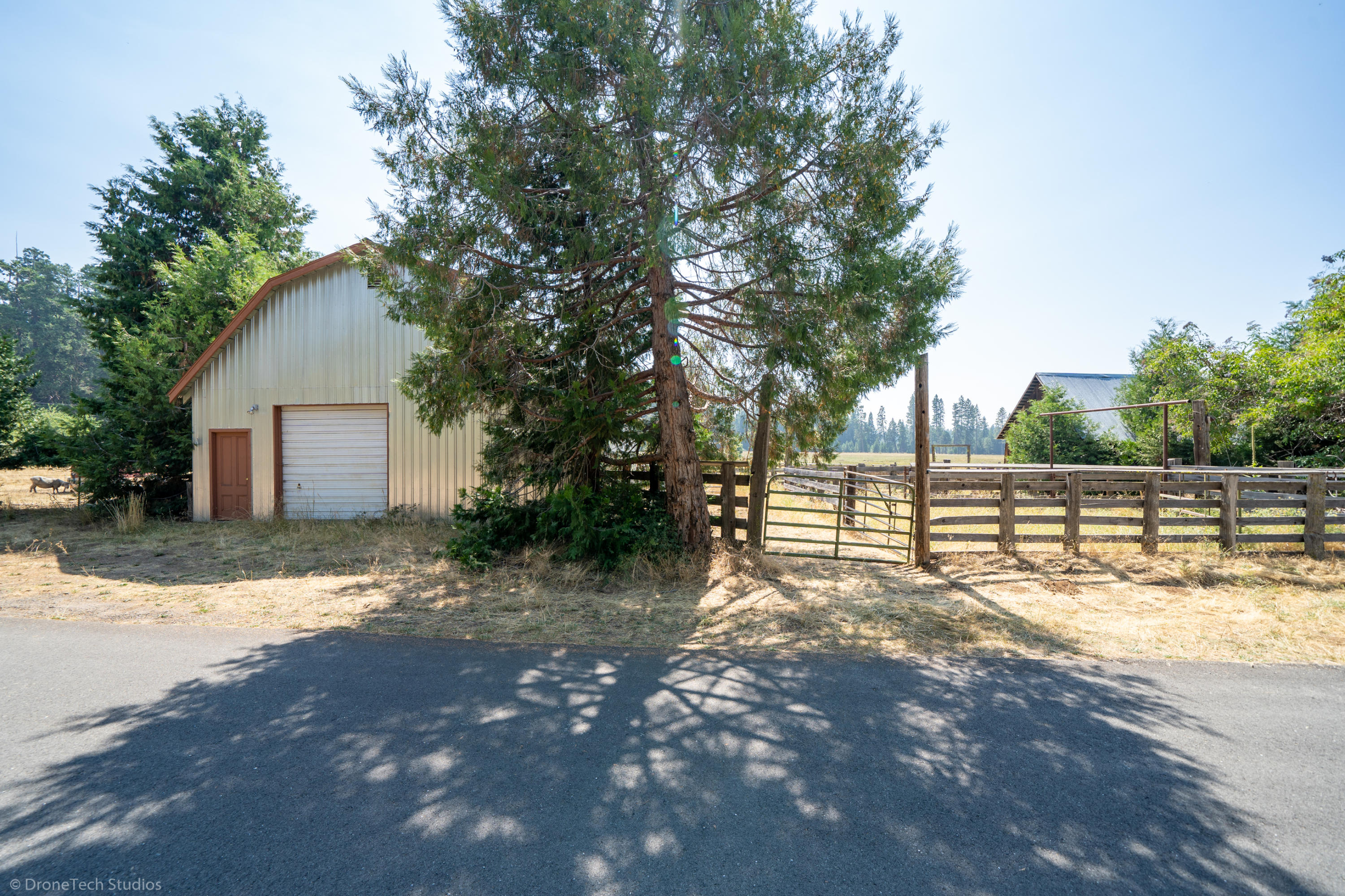 36563 Deer Flat Road Shingletown, CA 96088 - Photo 51 of 65 a view of a yard with wooden fence