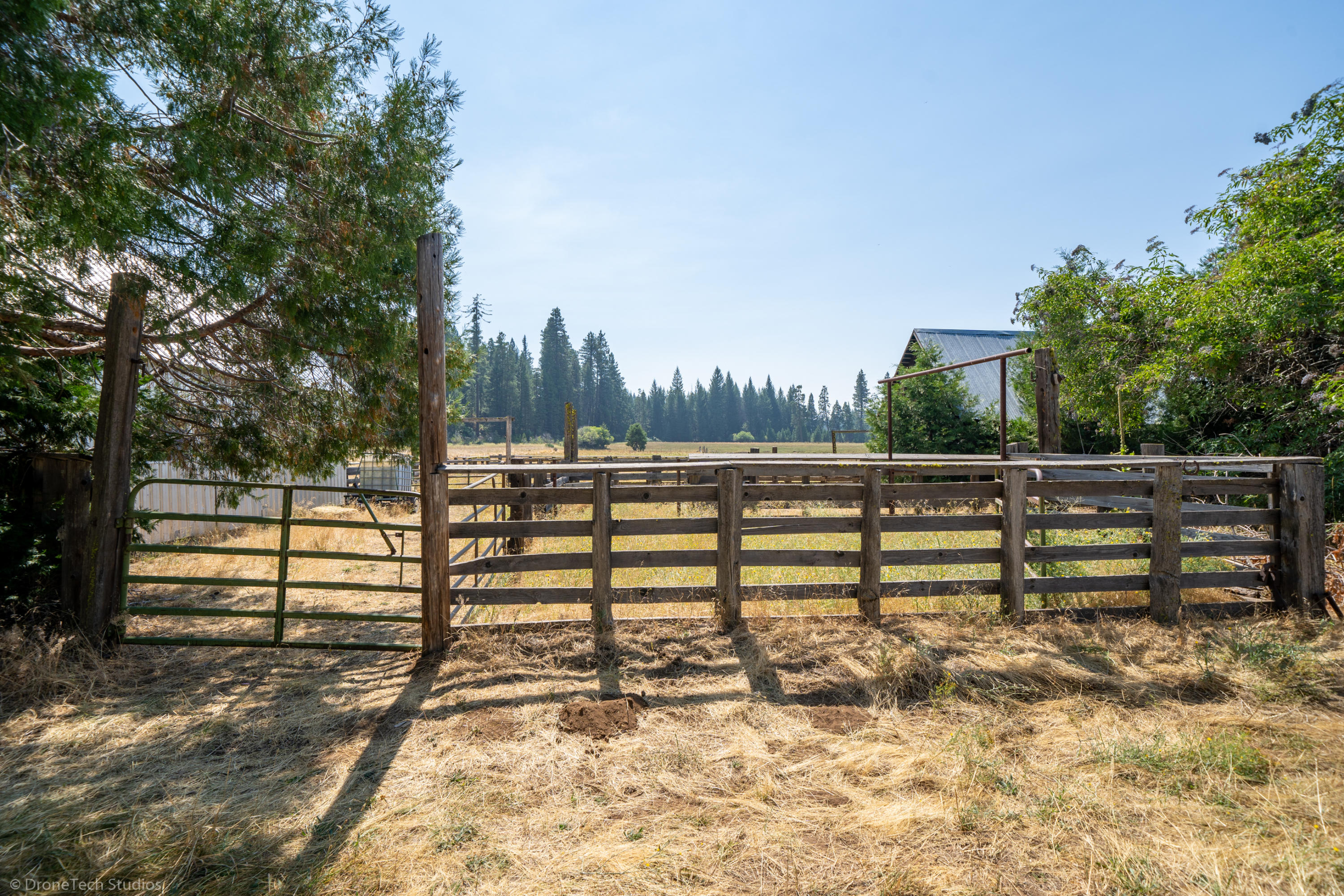 36563 Deer Flat Road Shingletown, CA 96088 - Photo 52 of 65 a view of park bench