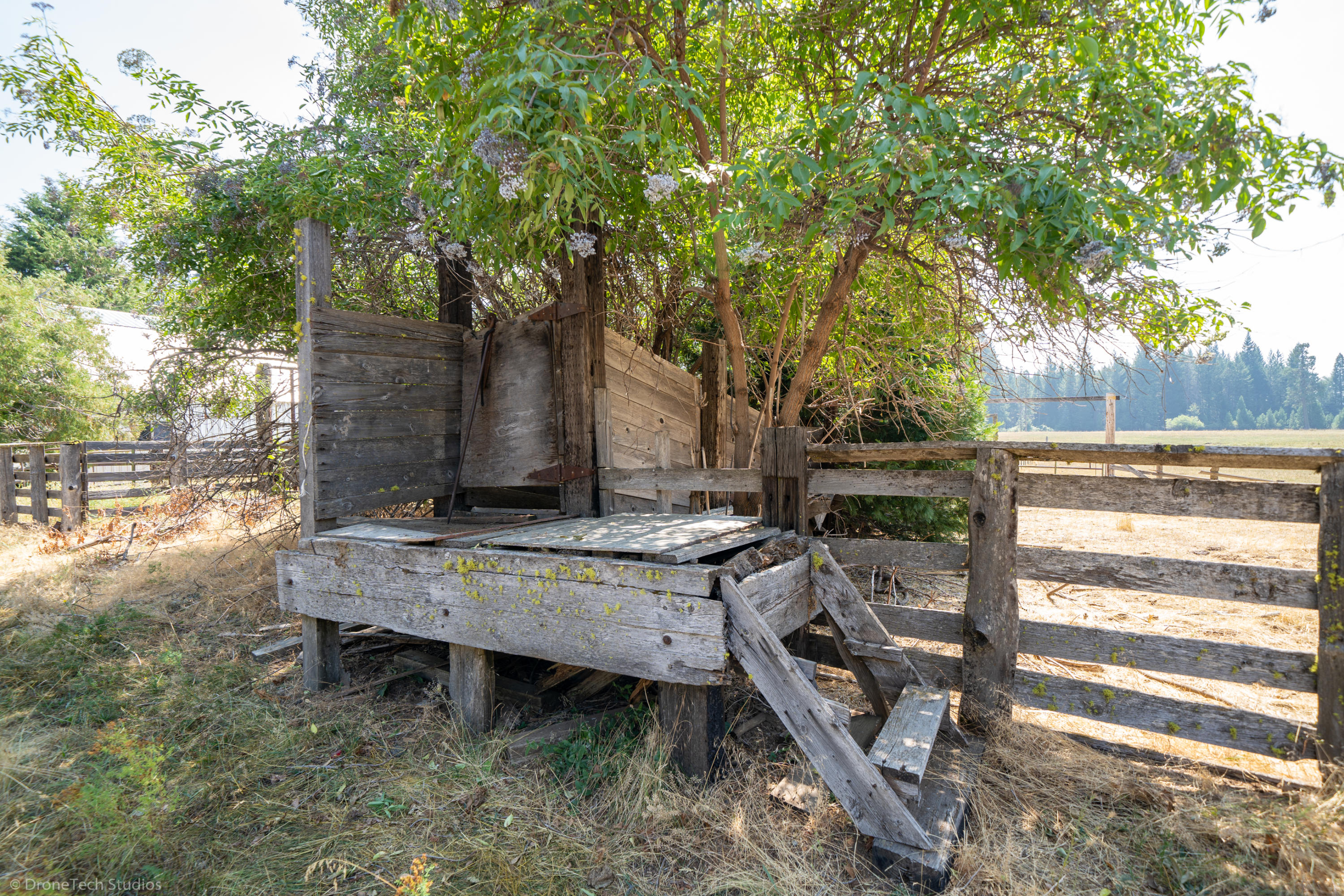 36563 Deer Flat Road Shingletown, CA 96088 - Photo 53 of 65 36563 Deer Flat Rd-76