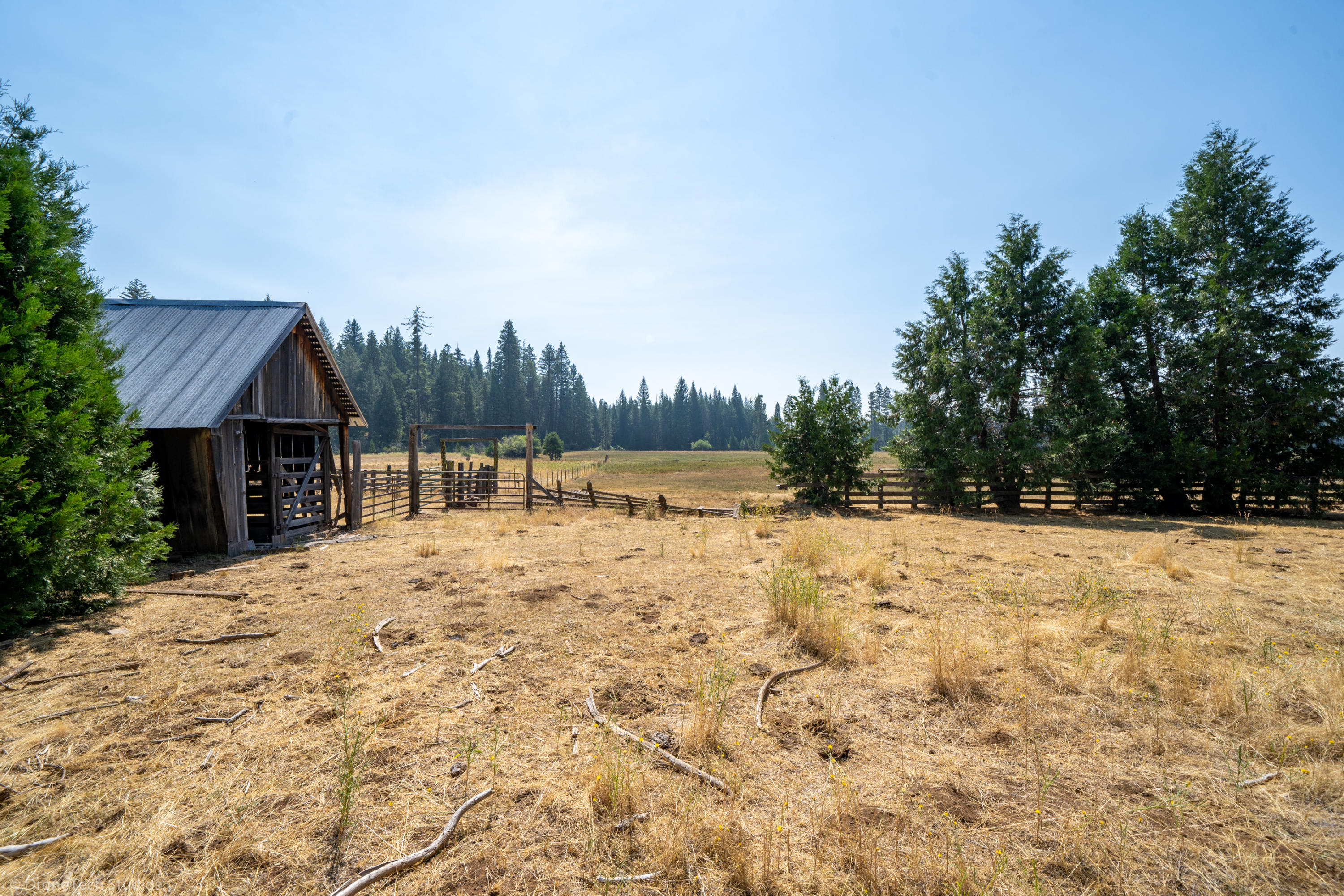 36563 Deer Flat Road Shingletown, CA 96088 - Photo 54 of 65 a backyard of a house with large trees