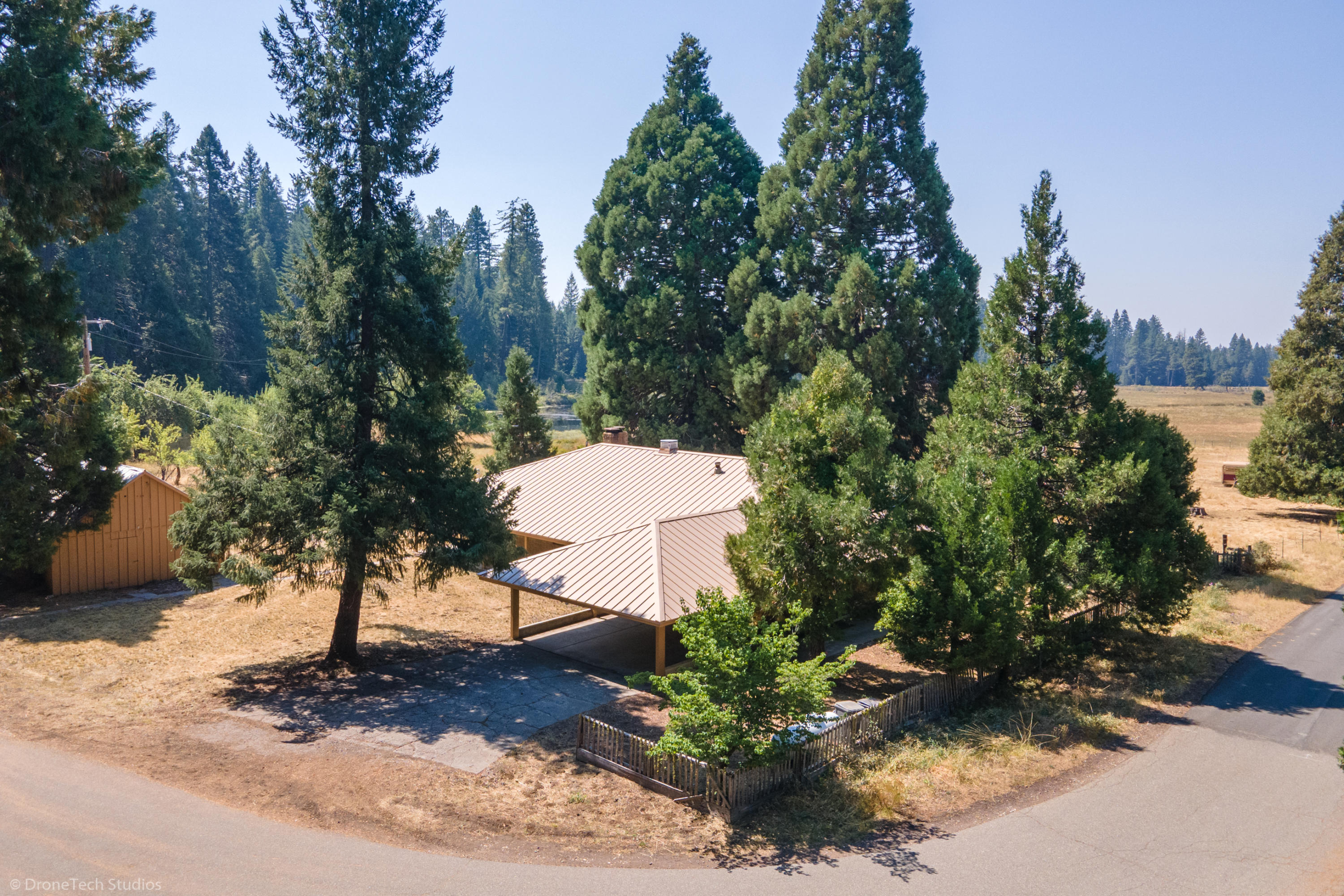 36563 Deer Flat Road Shingletown, CA 96088 - Photo 55 of 65 a view of a backyard of the house