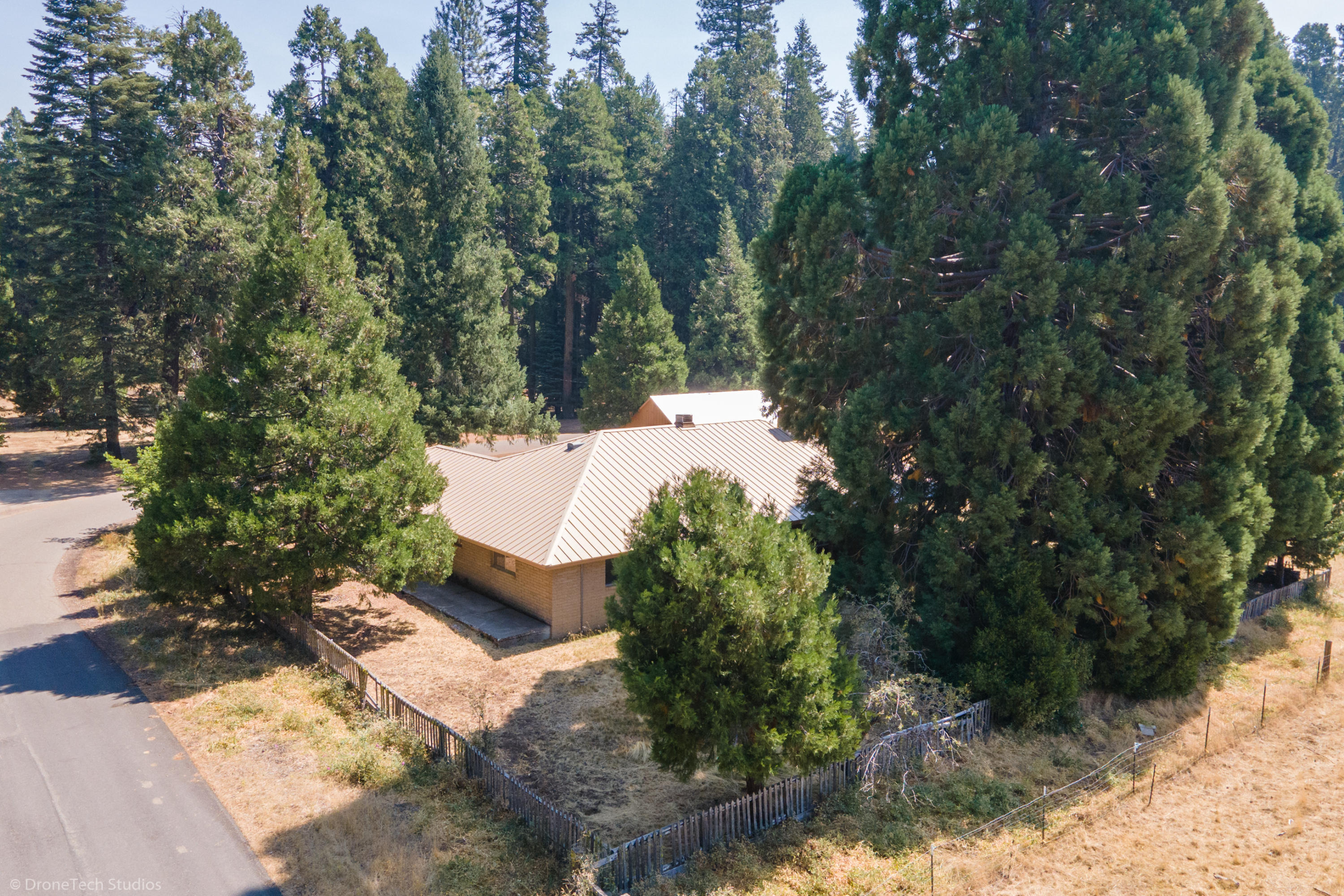 36563 Deer Flat Road Shingletown, CA 96088 - Photo 56 of 65 a view of a tree in a yard