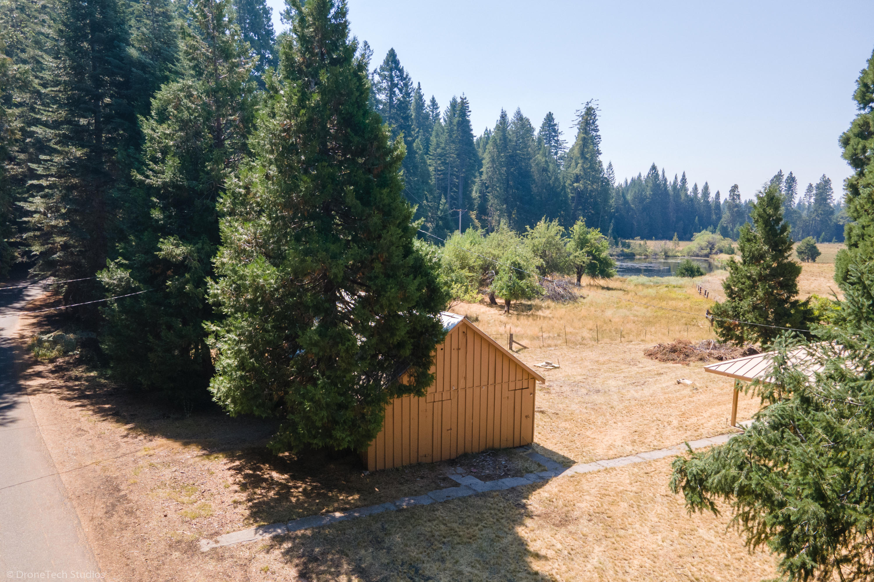 36563 Deer Flat Road Shingletown, CA 96088 - Photo 57 of 65 a view of a yard with plants and trees