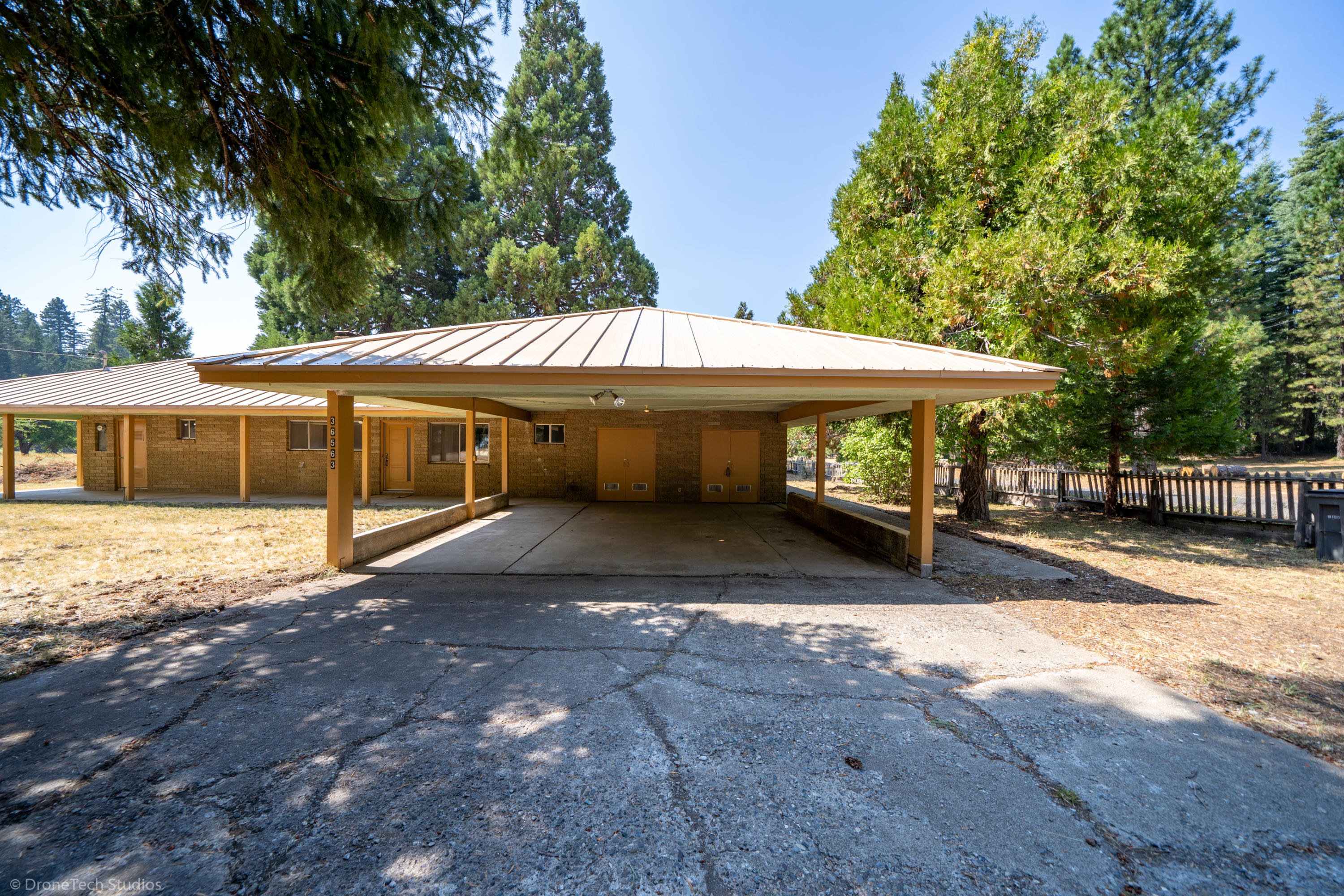 36563 Deer Flat Road Shingletown, CA 96088 - Photo 6 of 65 a view of a house with a yard and sitting area