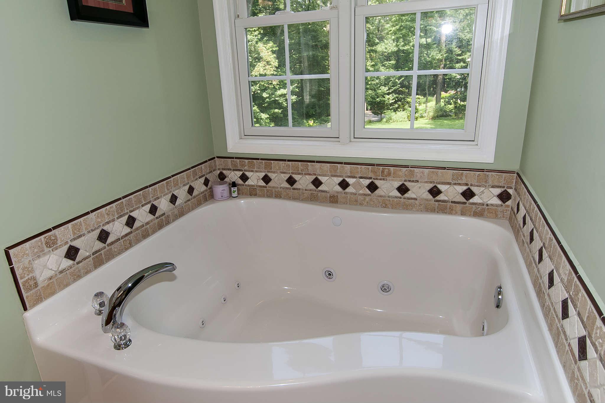 5316 Hoffmanville Road Manchester, MD 21102 - Photo 14 of 25 Bath Master