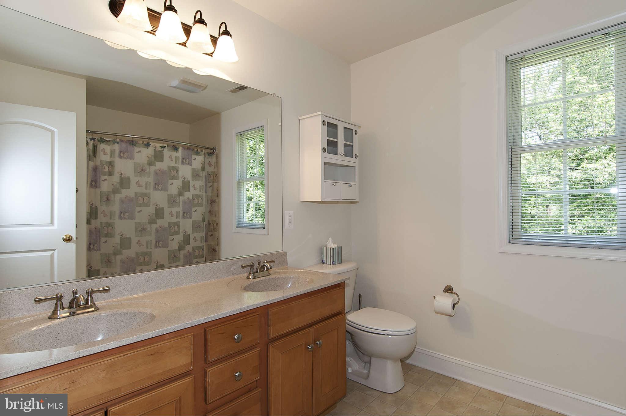 5316 Hoffmanville Road Manchester, MD 21102 - Photo 18 of 25 Bath