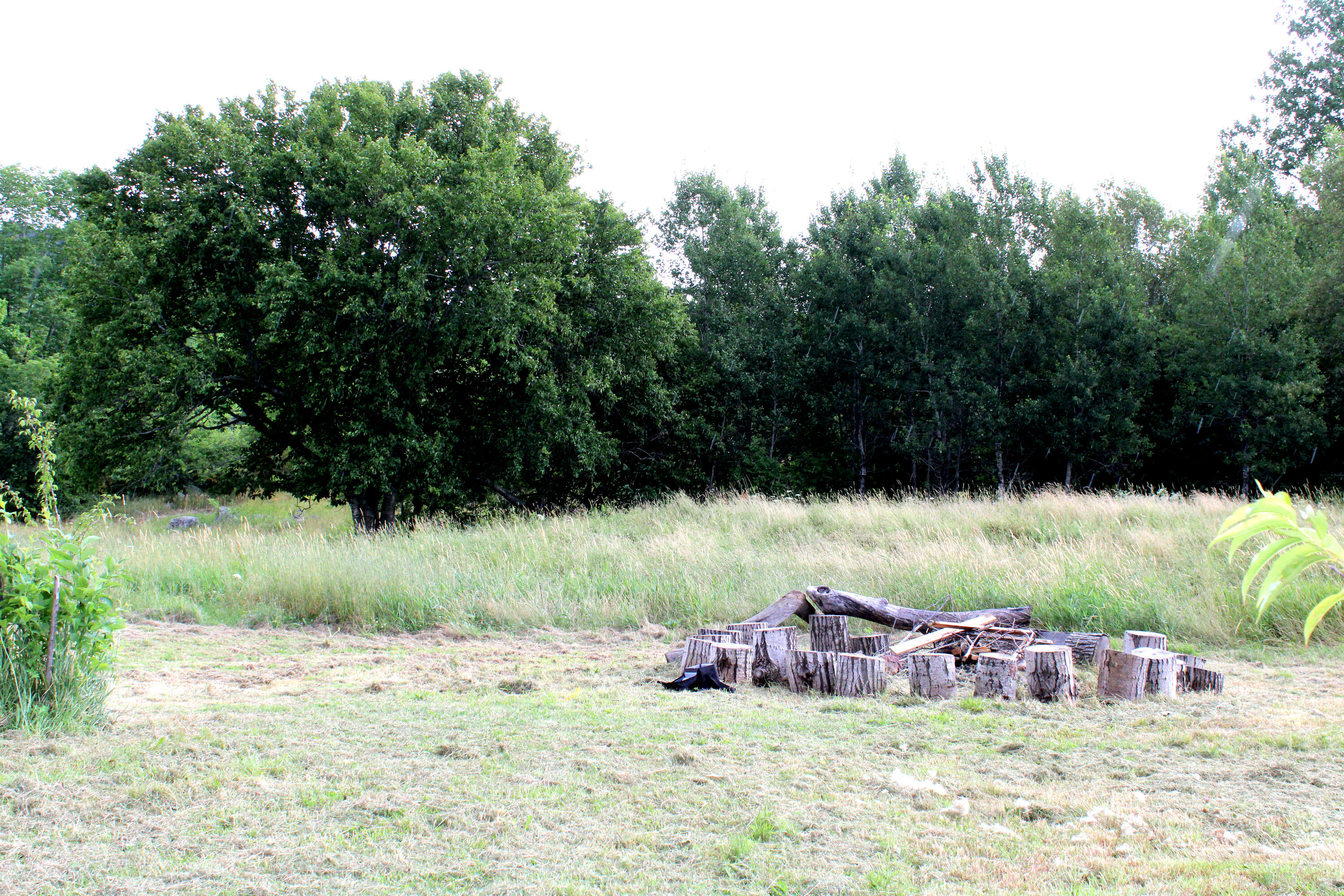 772 Bald Mountain Road Dedham, ME 04429 - Photo 14 of 50 IMG_0315