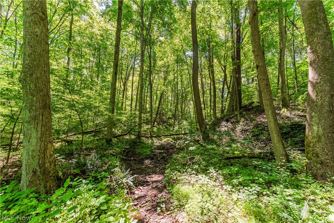 Norris Road Tippecanoe, OH 44699 - Photo 24 of 32