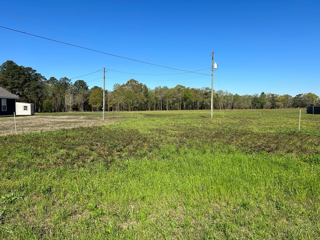 16.14-ac Lees Bridge Road Midland City, AL 36350 - Photo 14 of 28