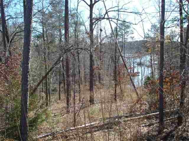 261 Capps Road, Unit LOTS 34 & 35 Fair Play, SC 29643 - Photo 1 of 6 Gallery Image 1