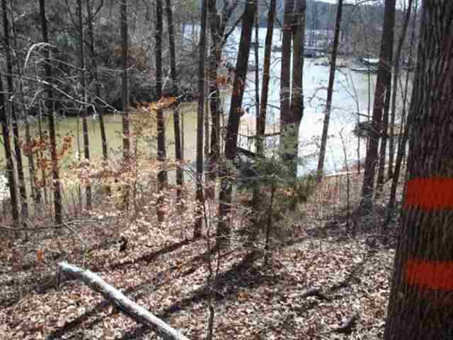 261 Capps Road, Unit LOTS 34 & 35 Fair Play, SC 29643 - Photo 3 of 6 Gallery Image 3
