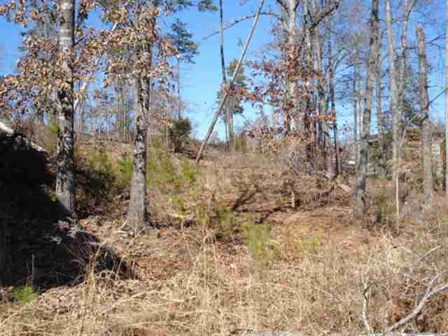 261 Capps Road, Unit LOTS 34 & 35 Fair Play, SC 29643 - Photo 4 of 6 Gallery Image 4