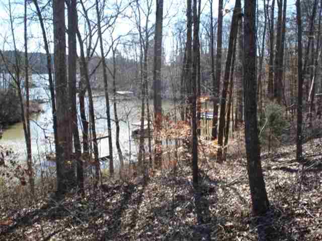 261 Capps Road, Unit LOTS 34 & 35 Fair Play, SC 29643 - Photo 5 of 6 Gallery Image 5