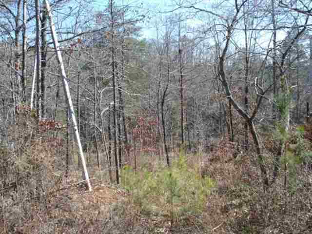 261 Capps Road, Unit LOTS 34 & 35 Fair Play, SC 29643 - Photo 6 of 6 Gallery Image 6