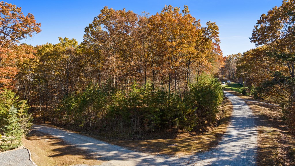 0 River Ridge Drive Blue Ridge, GA 30513 - Photo 15 of 24 Gallery Image 15