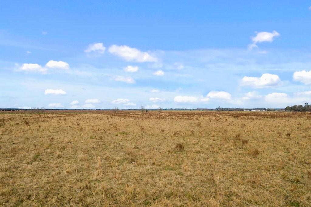 16 Gro Racca Road Iowa, LA 70647 - Photo 4 of 11