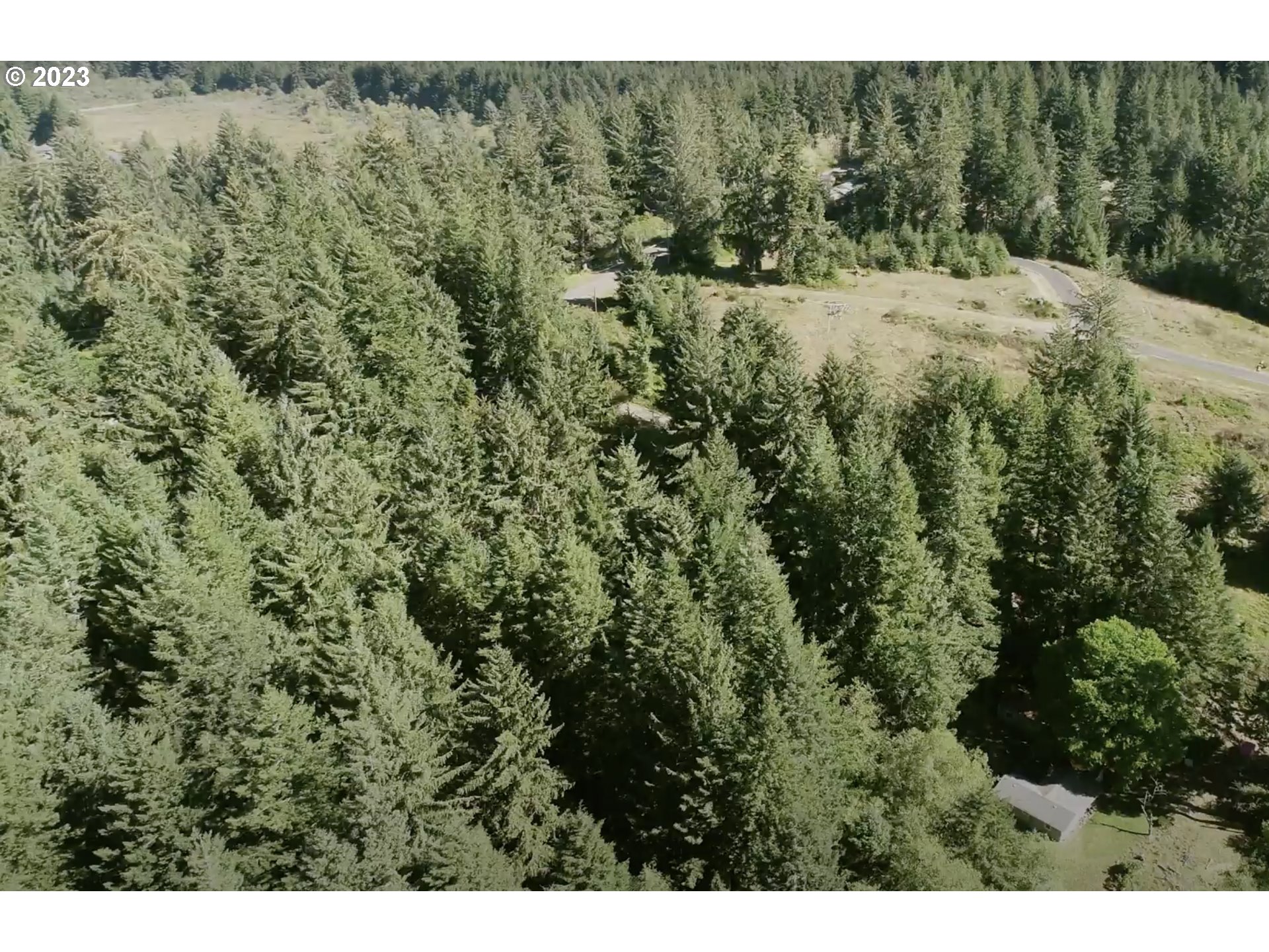 83672 Kiechle Arm Road Florence, OR 97439 - Photo 3 of 6 Gallery Image 3