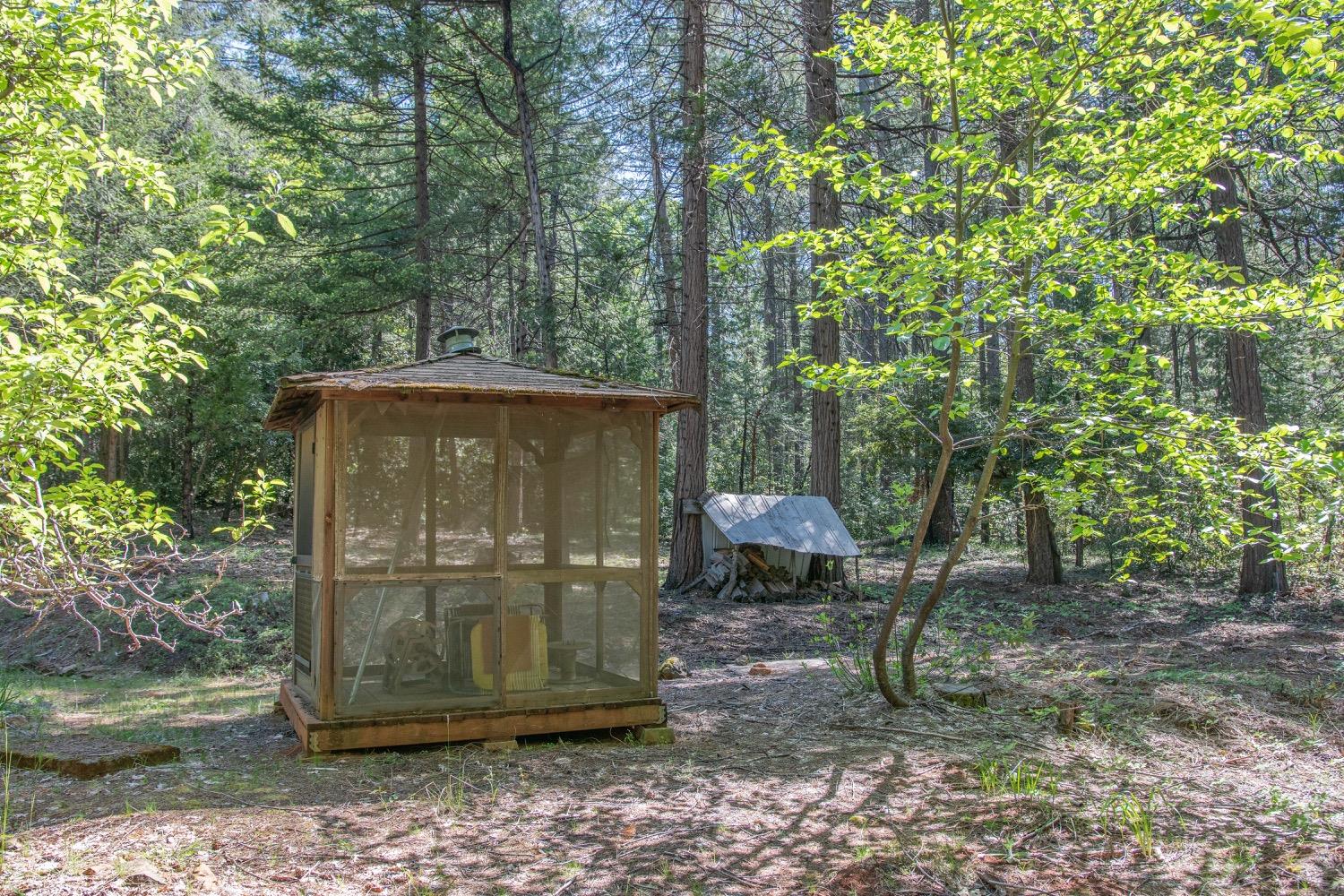 7440 Bear State Road Georgetown, CA 95634 - Photo 10 of 19