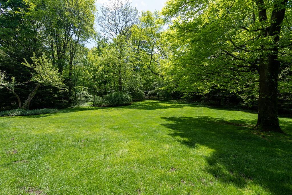 30 Warren Street Brookline, MA 02445 - Photo 8 of 27 a view of green field with trees in the background