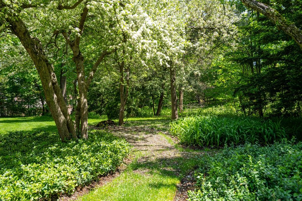 30 Warren Street Brookline, MA 02445 - Photo 9 of 27 a view of backyard with tree