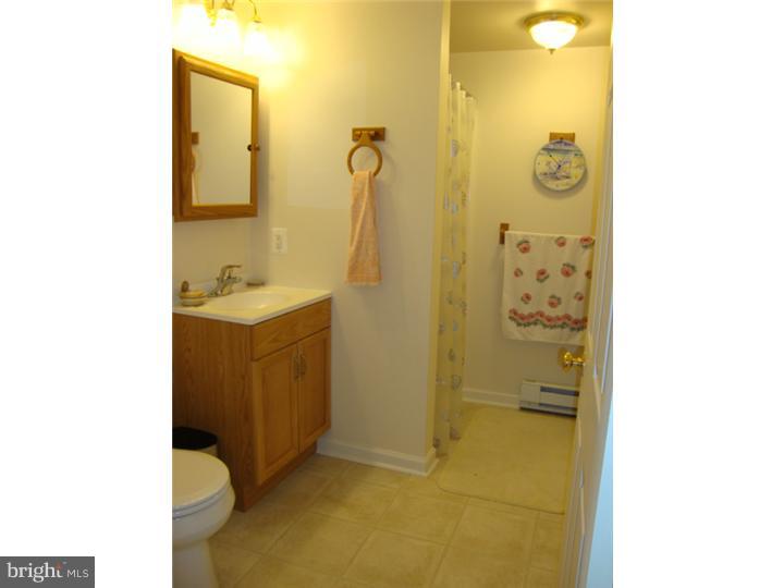 334 Ashwood Road Springfield, PA 19064 - Photo 8 of 18 Bathroom