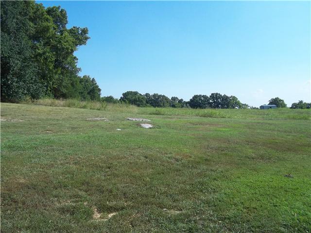 5 Cages Bend Lane Riddleton, TN 37151 - Photo 2 of 18