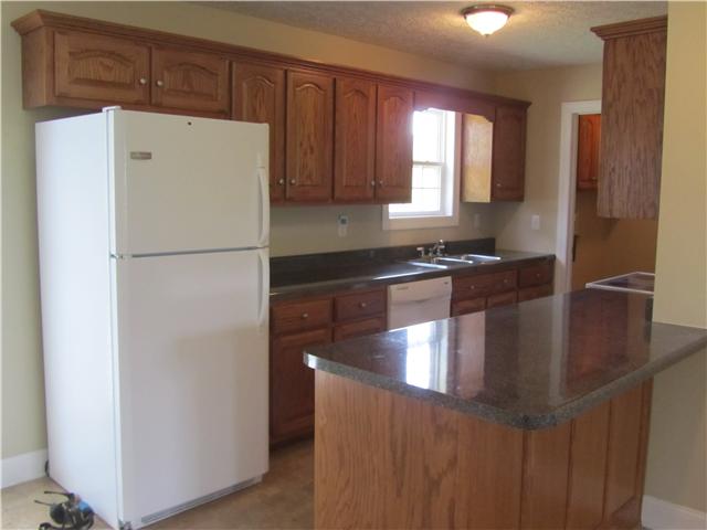 5 Cages Bend Lane Riddleton, TN 37151 - Photo 6 of 18