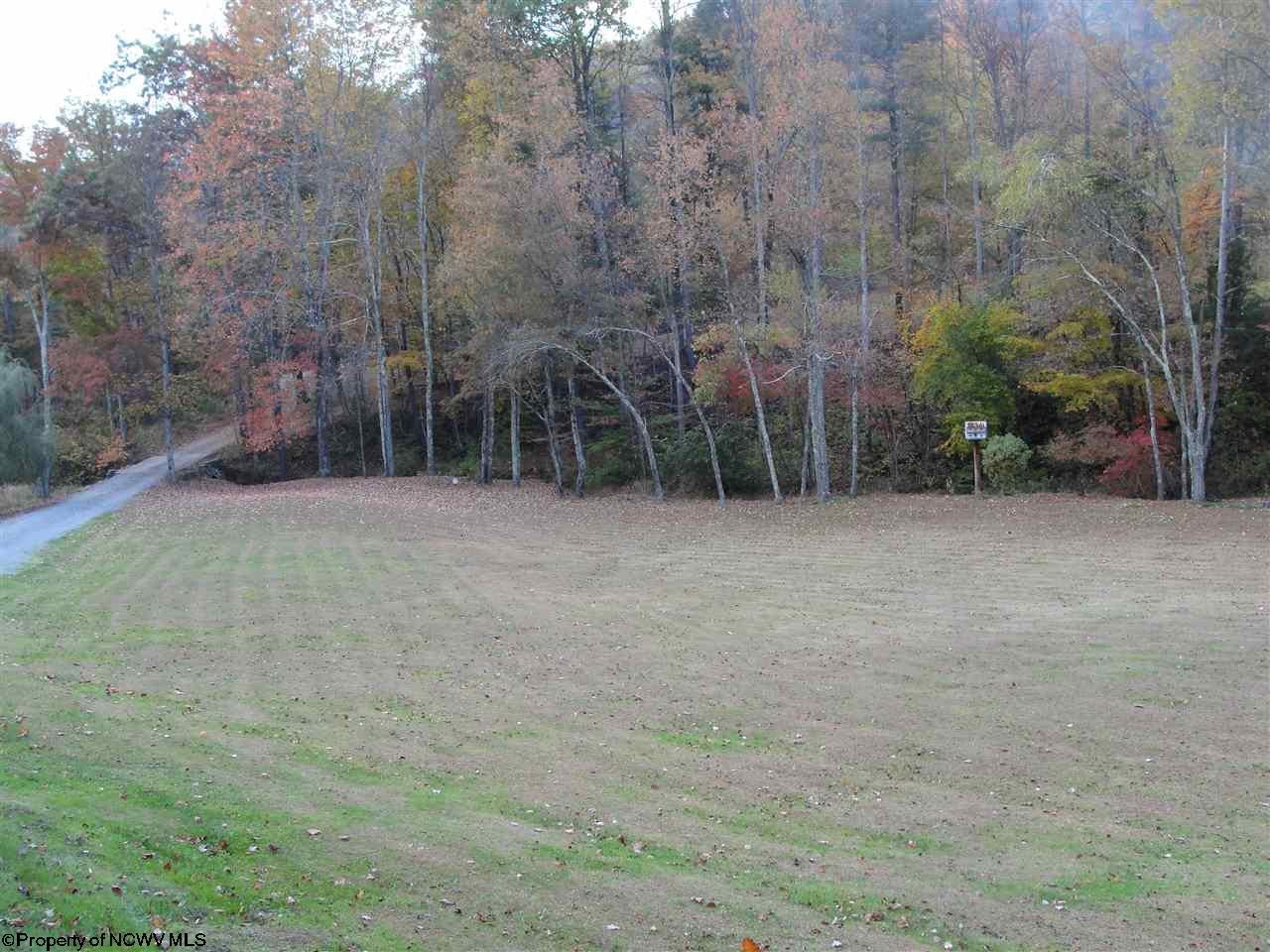 1309 Vegan Road Ellamore, WV 26267 - Photo 7 of 20 Gallery Image 7