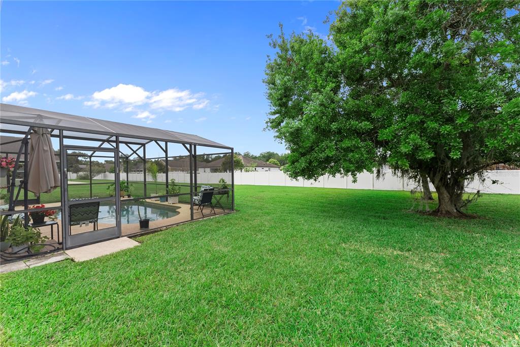 3149 Twisted Oak Loop Kissimmee, FL 34744 - Photo 45 of 52 a view of a backyard with a garden and plants