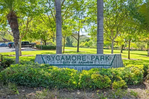 a park with a bench in the park