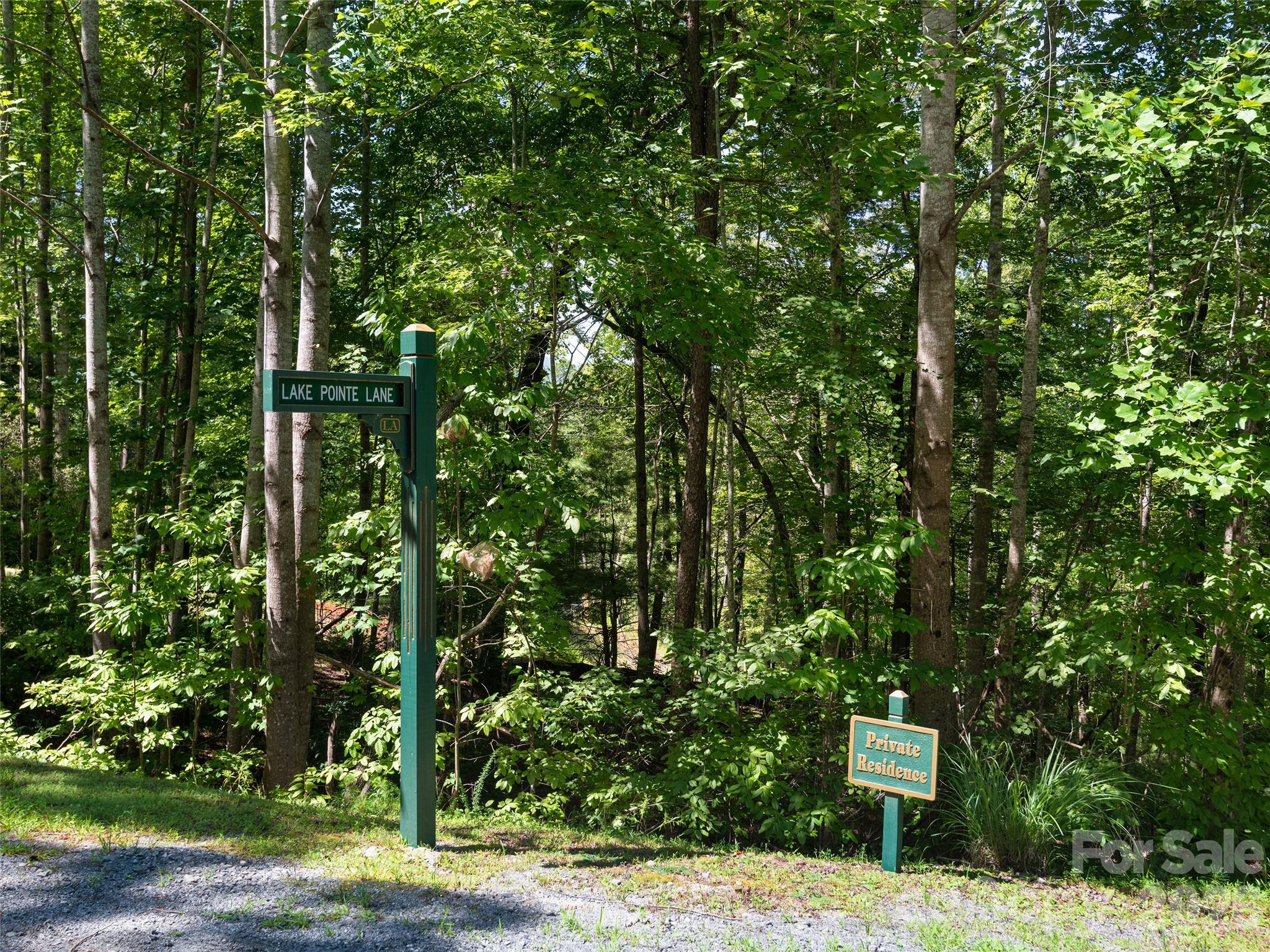 Lot #13 South Cove Rd Mill Spring Mill Spring, NC 28756 - Photo 5 of 16 a view of a bench in a forest