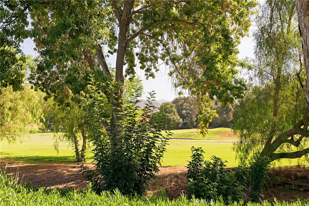 3909 Reche Road, Unit 183 Fallbrook, CA 92028 - Photo 40 of 46