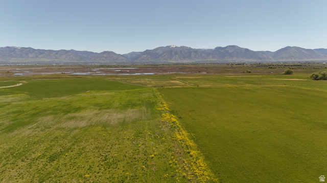 320 South 5400 West Logan, UT 84321 - Photo 24 of 42 Expansive green fields featuring a clear pathway, bordered by yellow wildflowers, with distant mountains under a bright sky