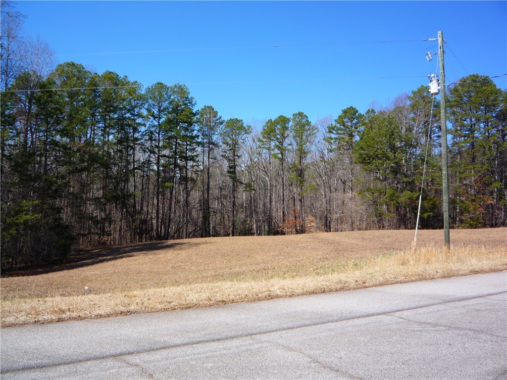 0 Boyd Moss Road West Union, SC 29696 - Photo 1 of 7