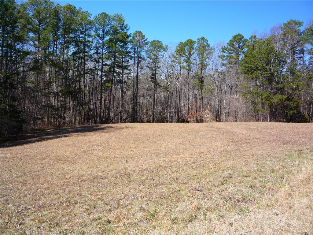 0 Boyd Moss Road West Union, SC 29696 - Photo 2 of 7