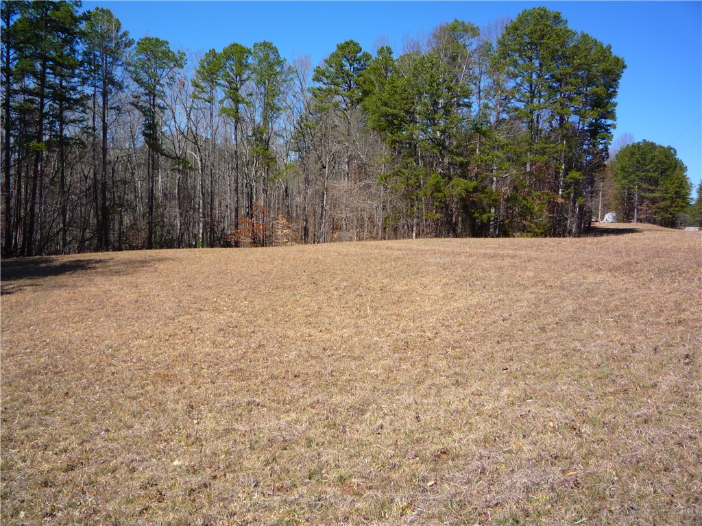 0 Boyd Moss Road West Union, SC 29696 - Photo 3 of 7