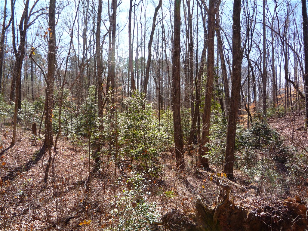 0 Boyd Moss Road West Union, SC 29696 - Photo 5 of 7