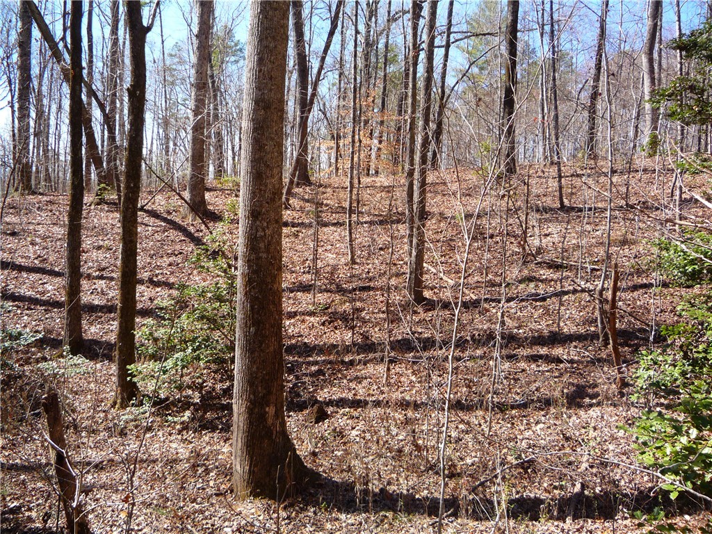 0 Boyd Moss Road West Union, SC 29696 - Photo 6 of 7