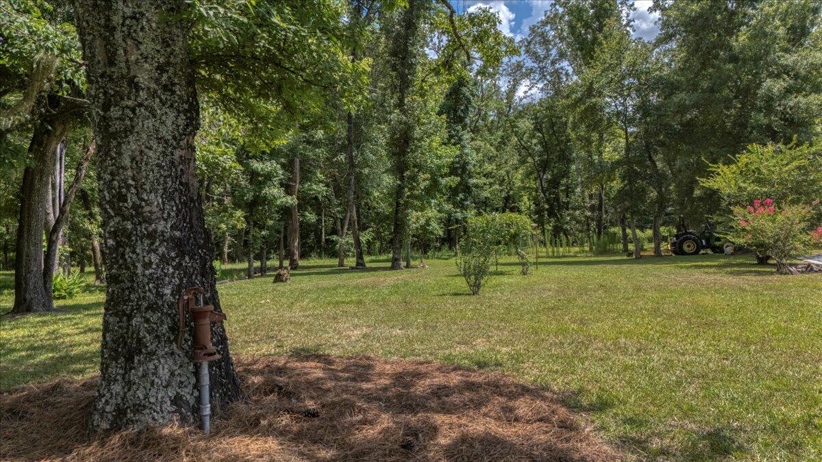 637 Cummings Chapel Road Ridgeville, SC 29472 - Photo 53 of 57 86-637 Cummings Chapel Rd-28