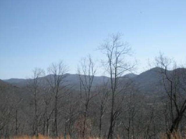 0 Car Miles Road Hiawassee, GA 30546 - Photo 1 of 1 Gallery Image 1