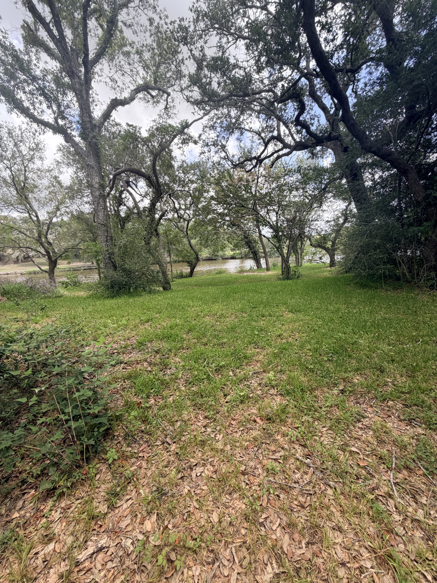468 Riverside Drive Palacios, TX 77465 - Photo 9 of 12 Gallery Image 9