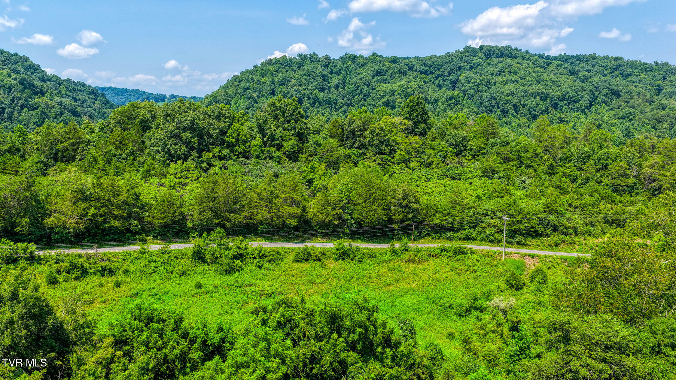 Tbd Sweet Creek Road, Unit TBD Eidson, TN 37731 - Photo 41 of 52 Sweet Creek. Eidson MLSa (40 of 51)