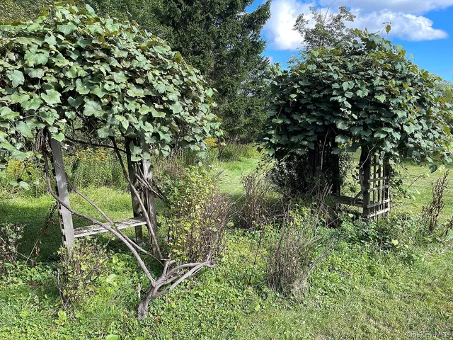 a view of backyard with outdoor space