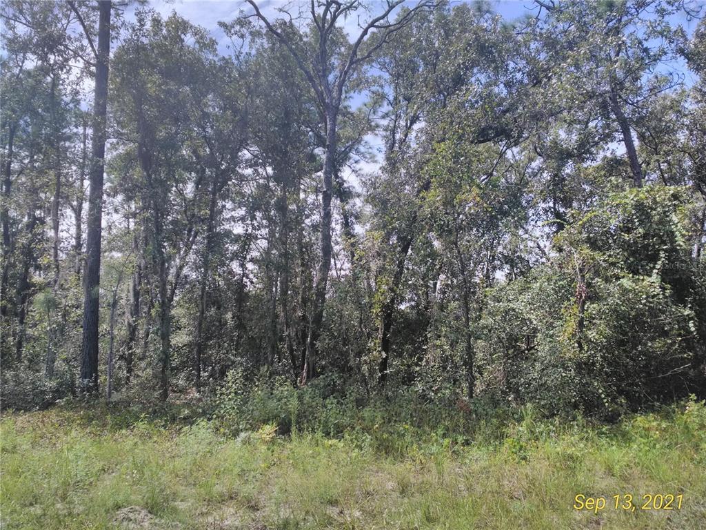 Southwest 59th Ave Road Ocala, FL 34473 - Photo 1 of 1 Gallery Image 1