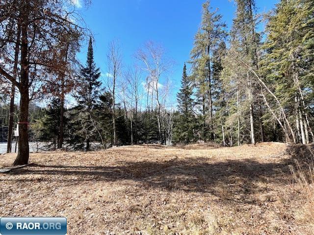 76-xx Green Rock Road Side Lake, MN 55781 - Photo 12 of 21 Gallery Image 12