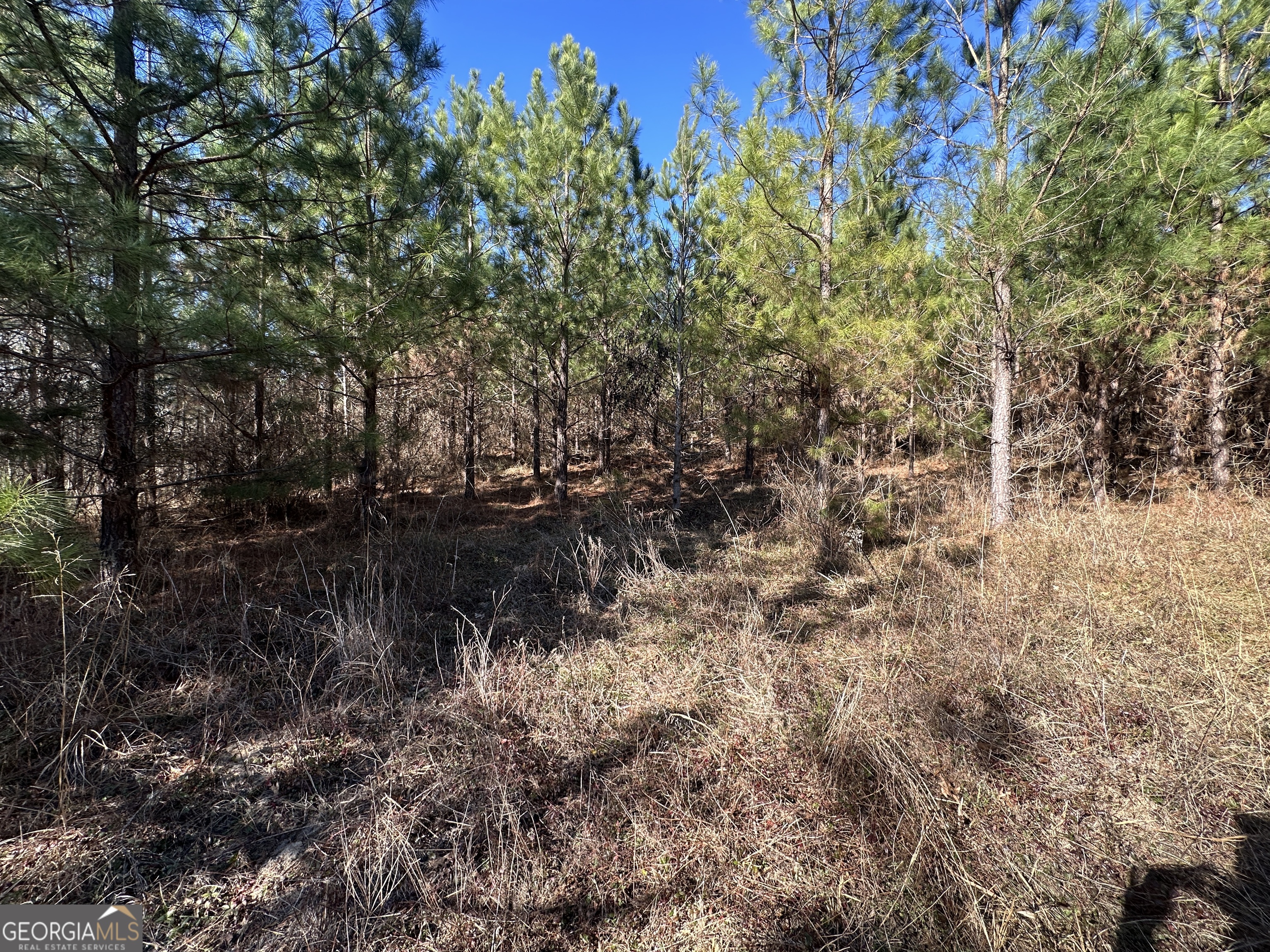 0 Griffin Landing Road Girard, GA 30426 - Photo 11 of 23 a view of a lake with lots of trees