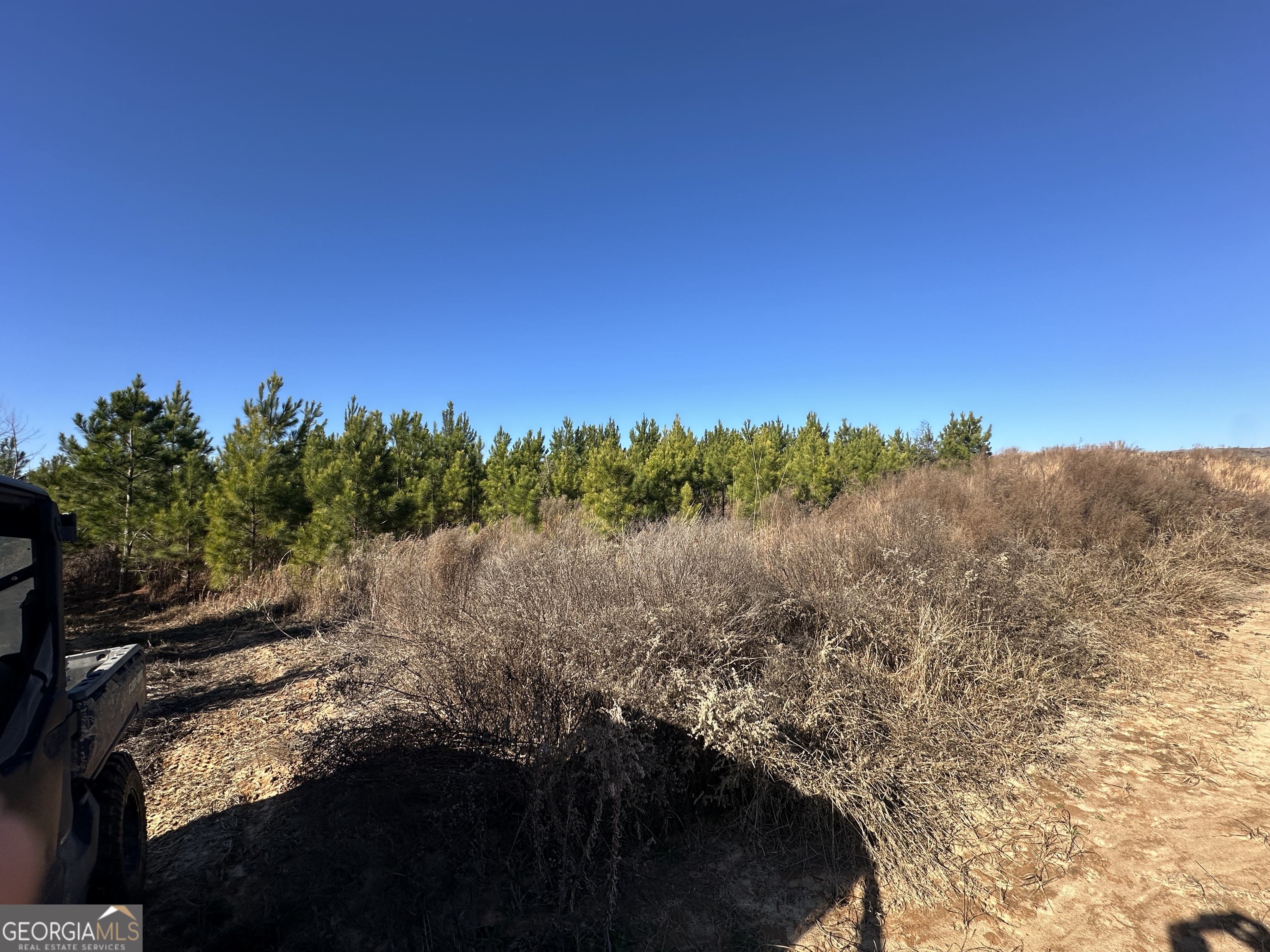 0 Griffin Landing Road Girard, GA 30426 - Photo 16 of 23